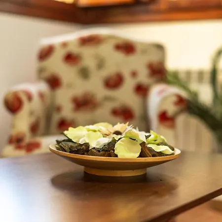 ヴィラ Vacacional River *