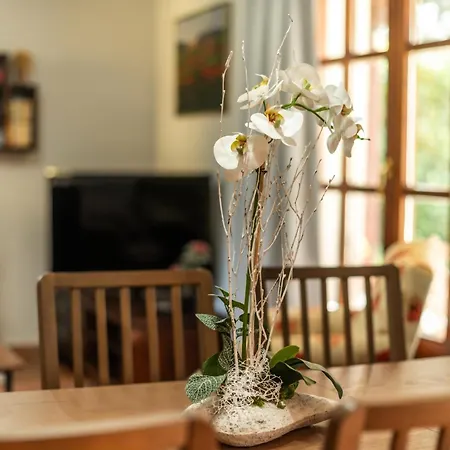 Vacacional River Vila *